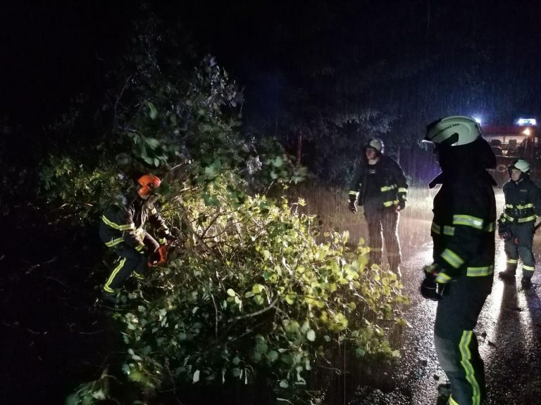 intervencija-12-2020